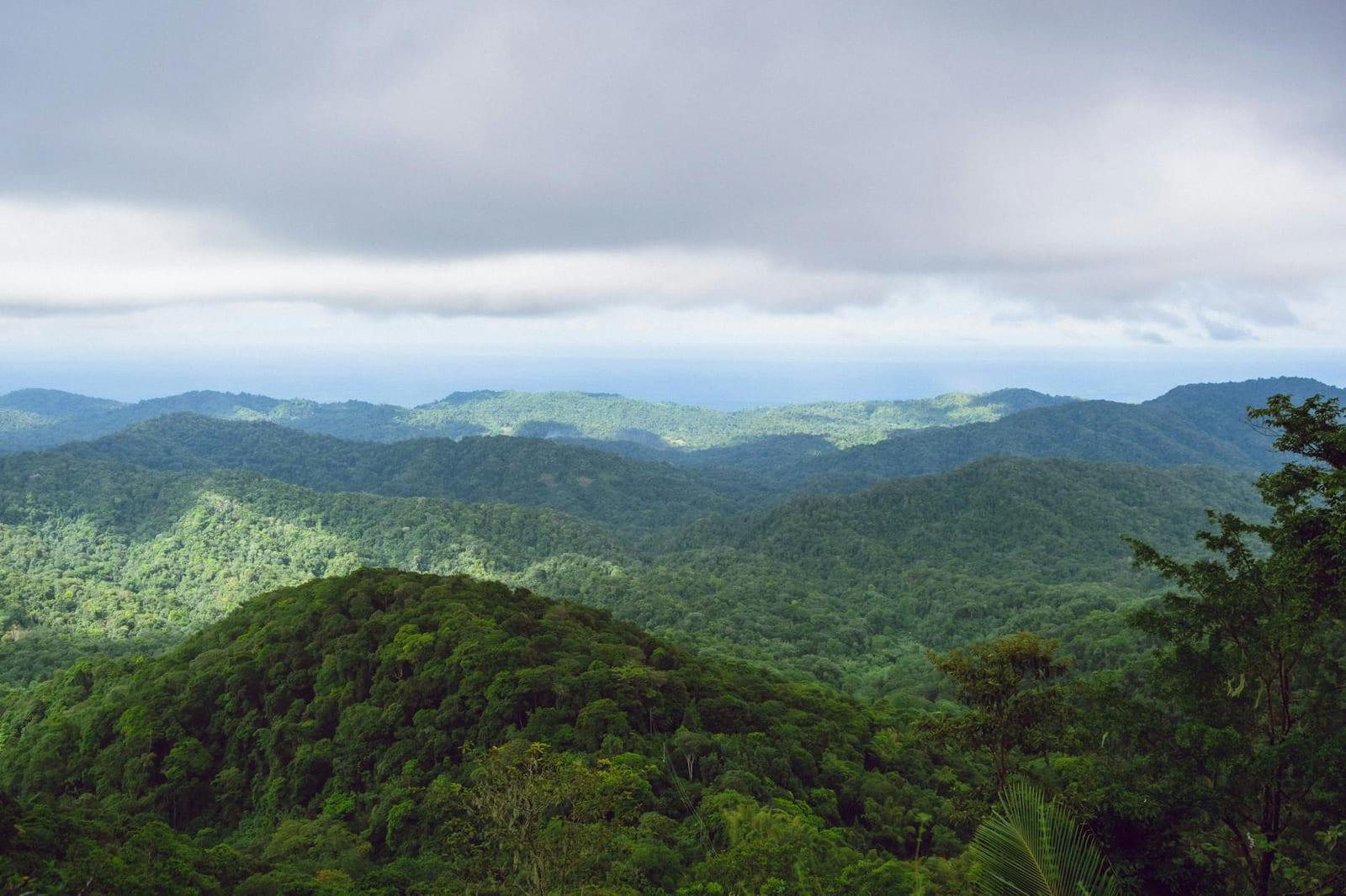 Asa Wright Nature Centre, Trinidad & Tobago