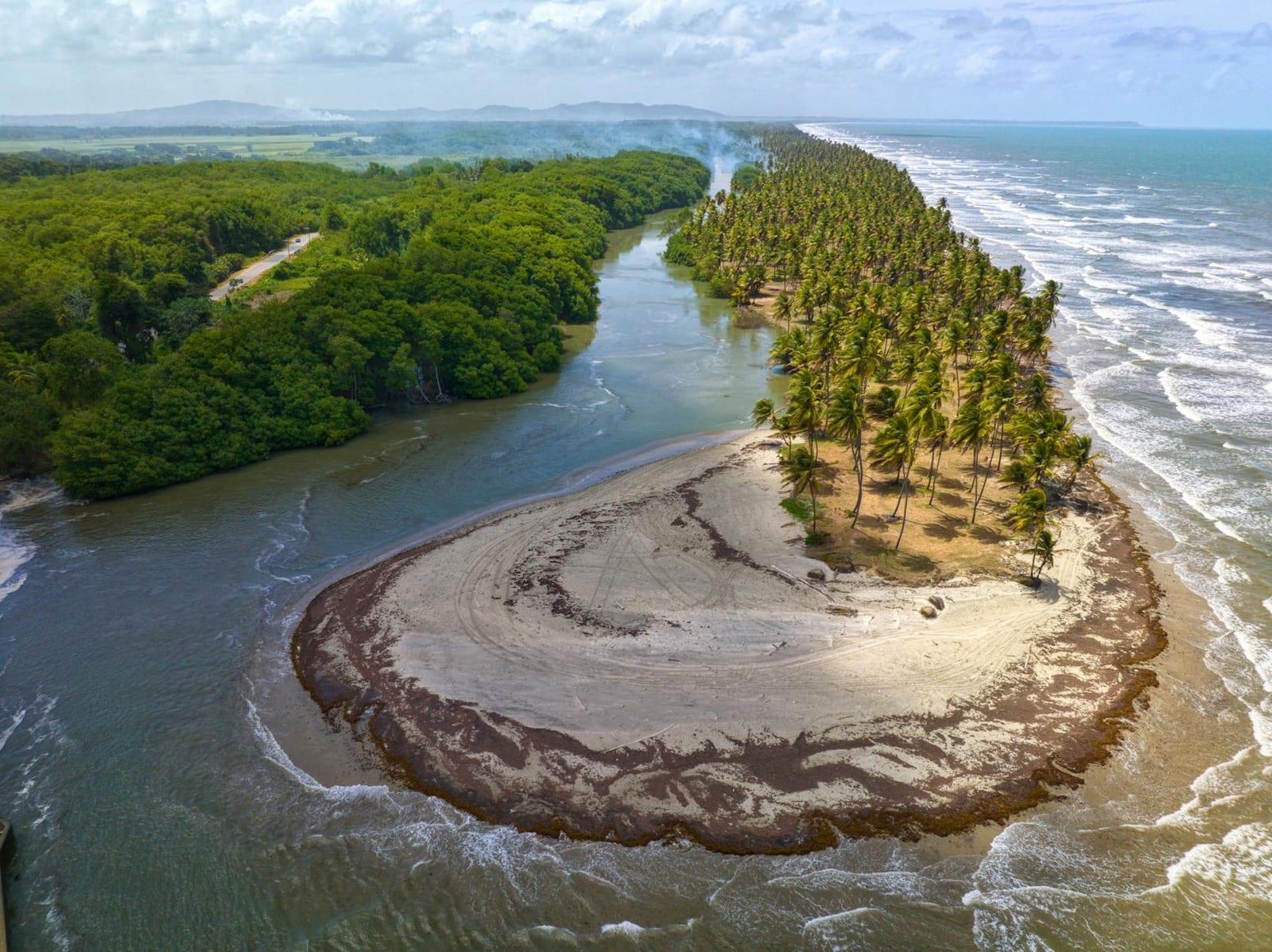 Nariva Swamp, Trinidad & Tobago