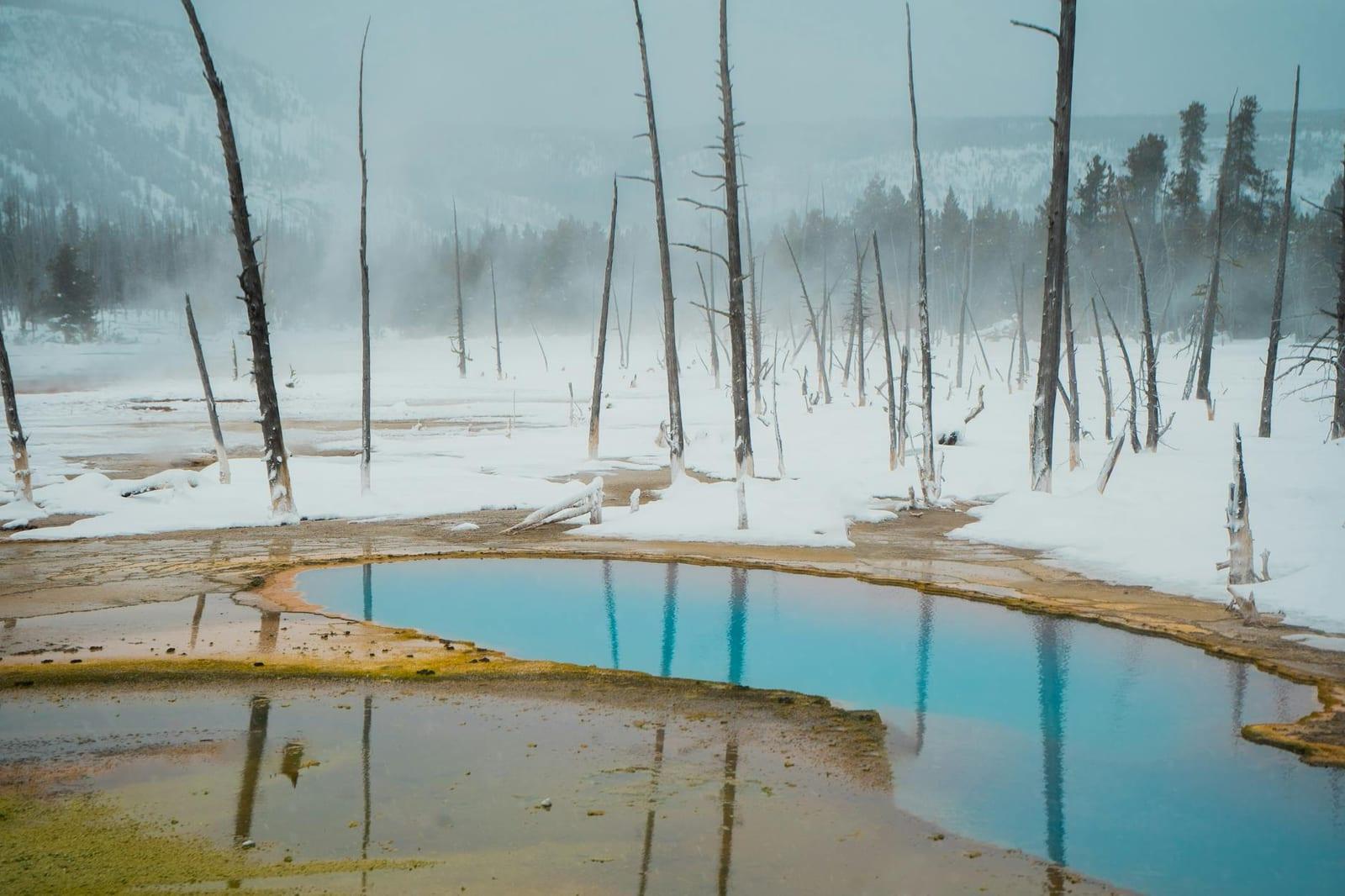 Yellowstone National Park, United States