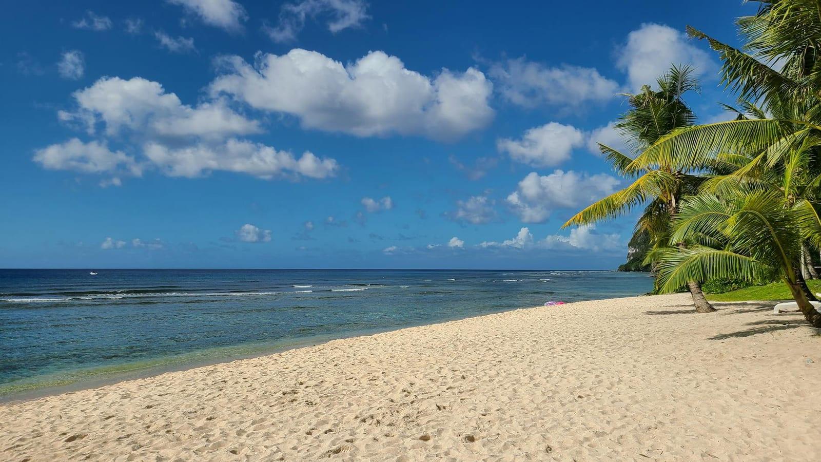 Henderson Island, Pitcairn Islands