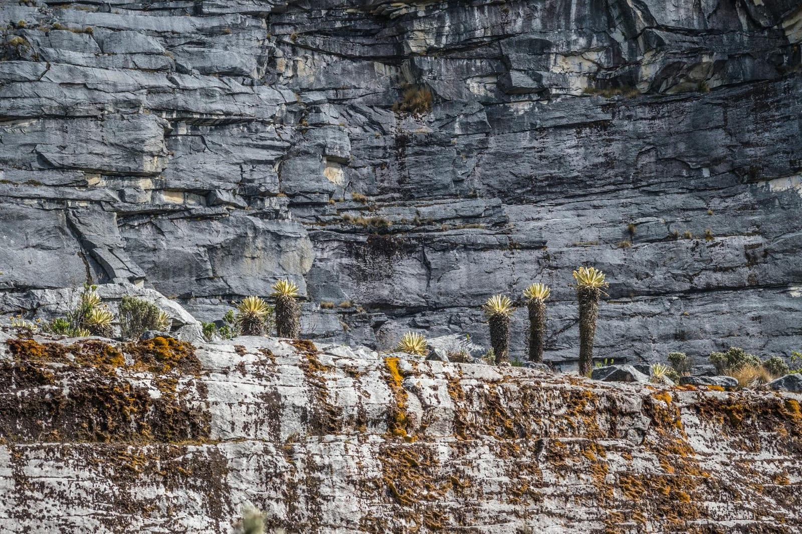 Chiribiquete National Park, Colombia