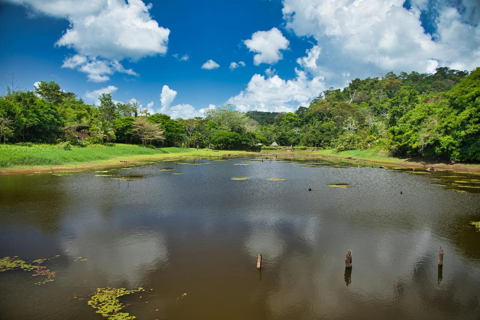 Central Suriname Nature Reserve, Suriname