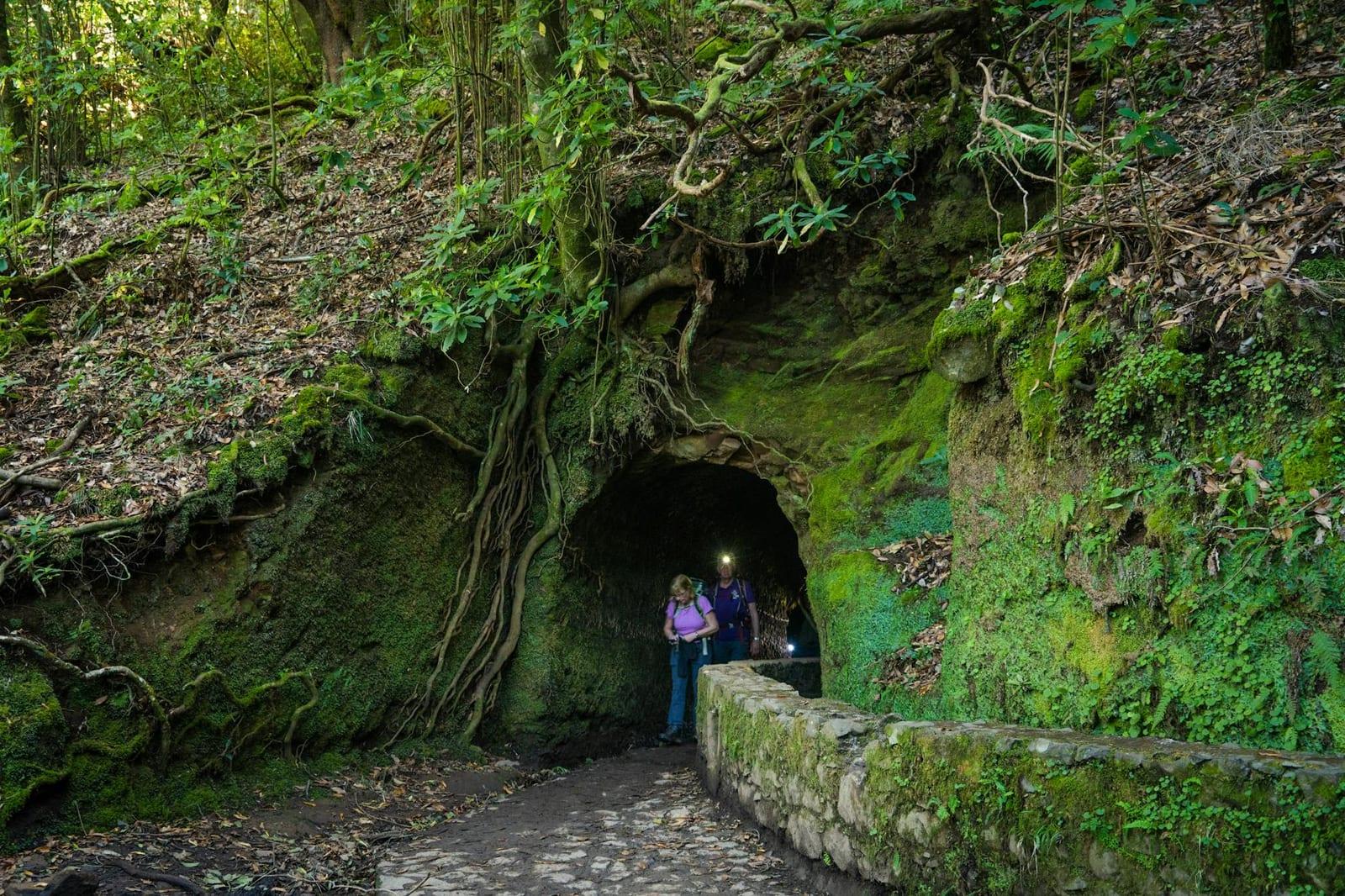 Levada das 25 Fontes, Madeira