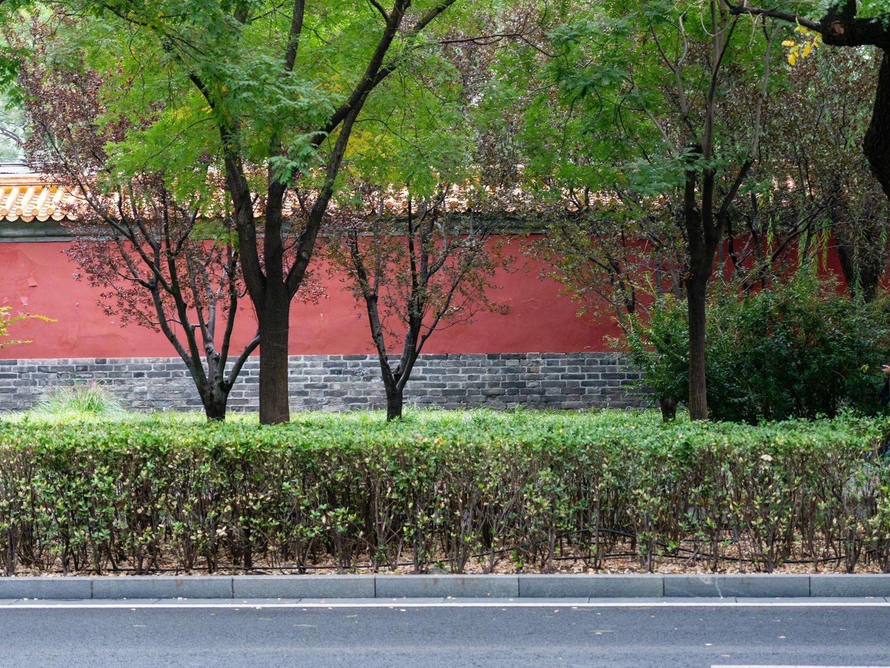 Beijing hero