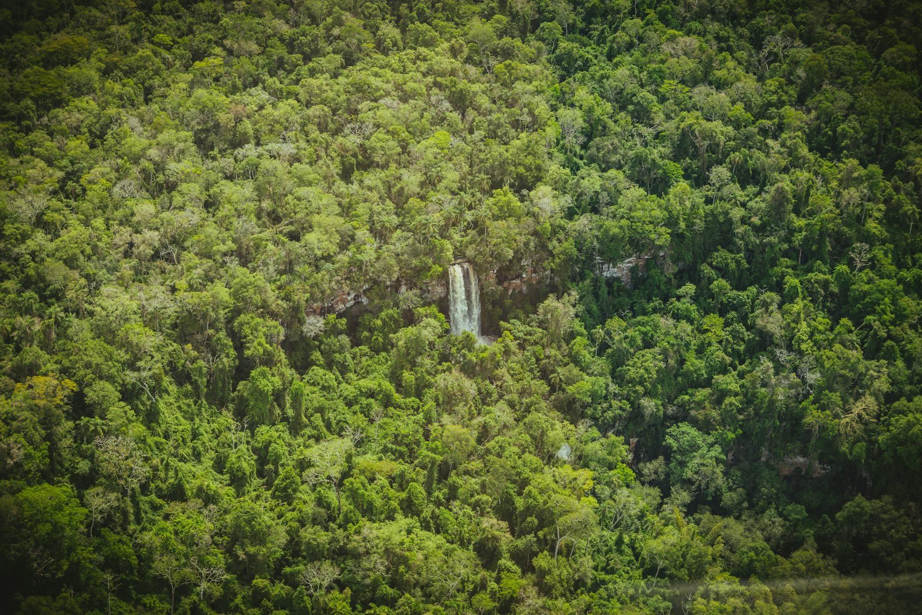 Kaieteur Falls hero