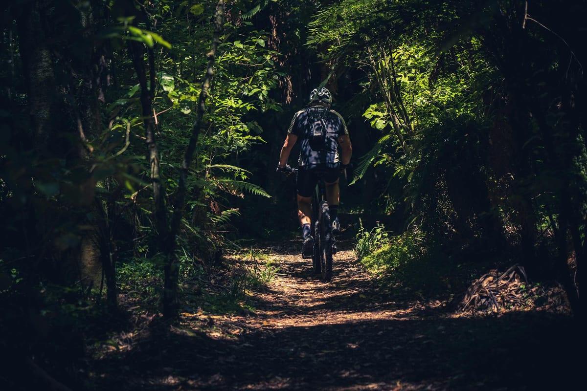 South Island, New Zealand — Cycling