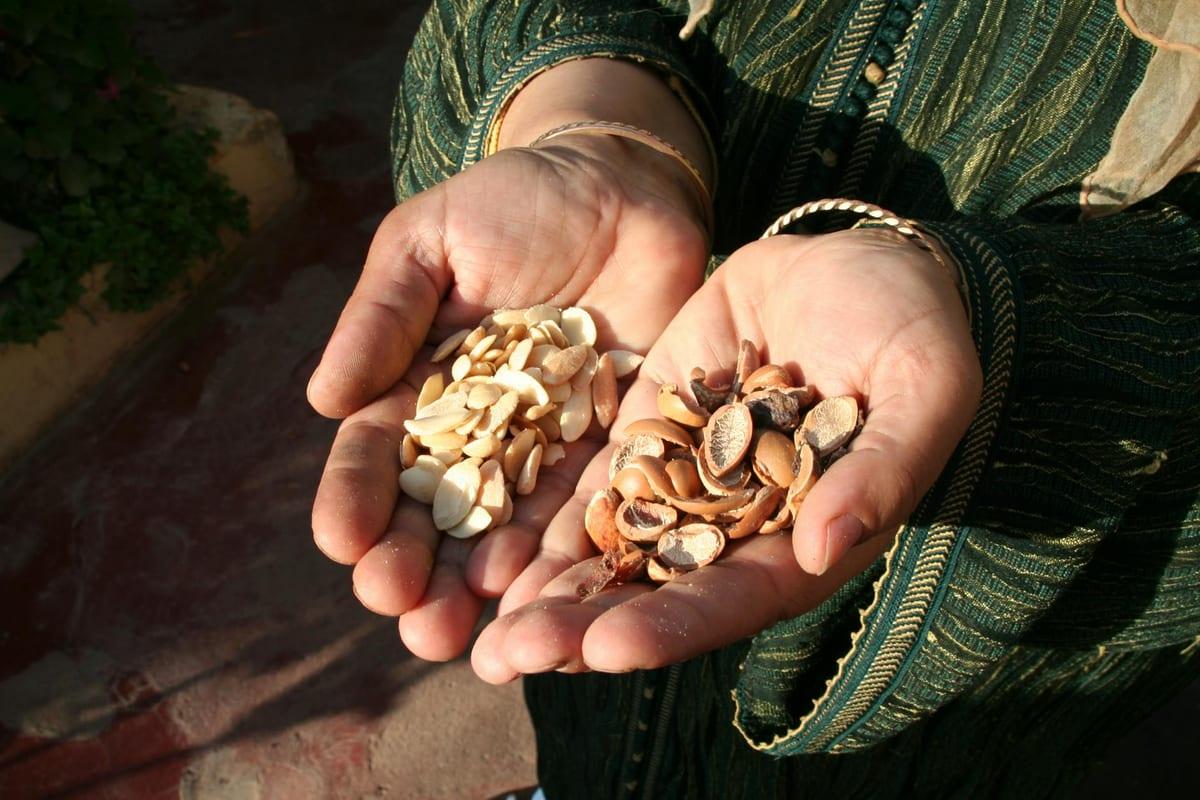 Marrakech, Morocco — Food & Culture