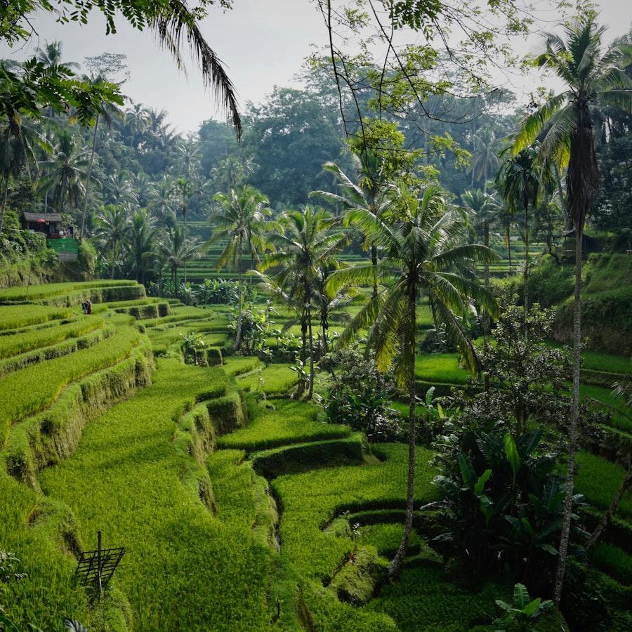 Bali — Traveling