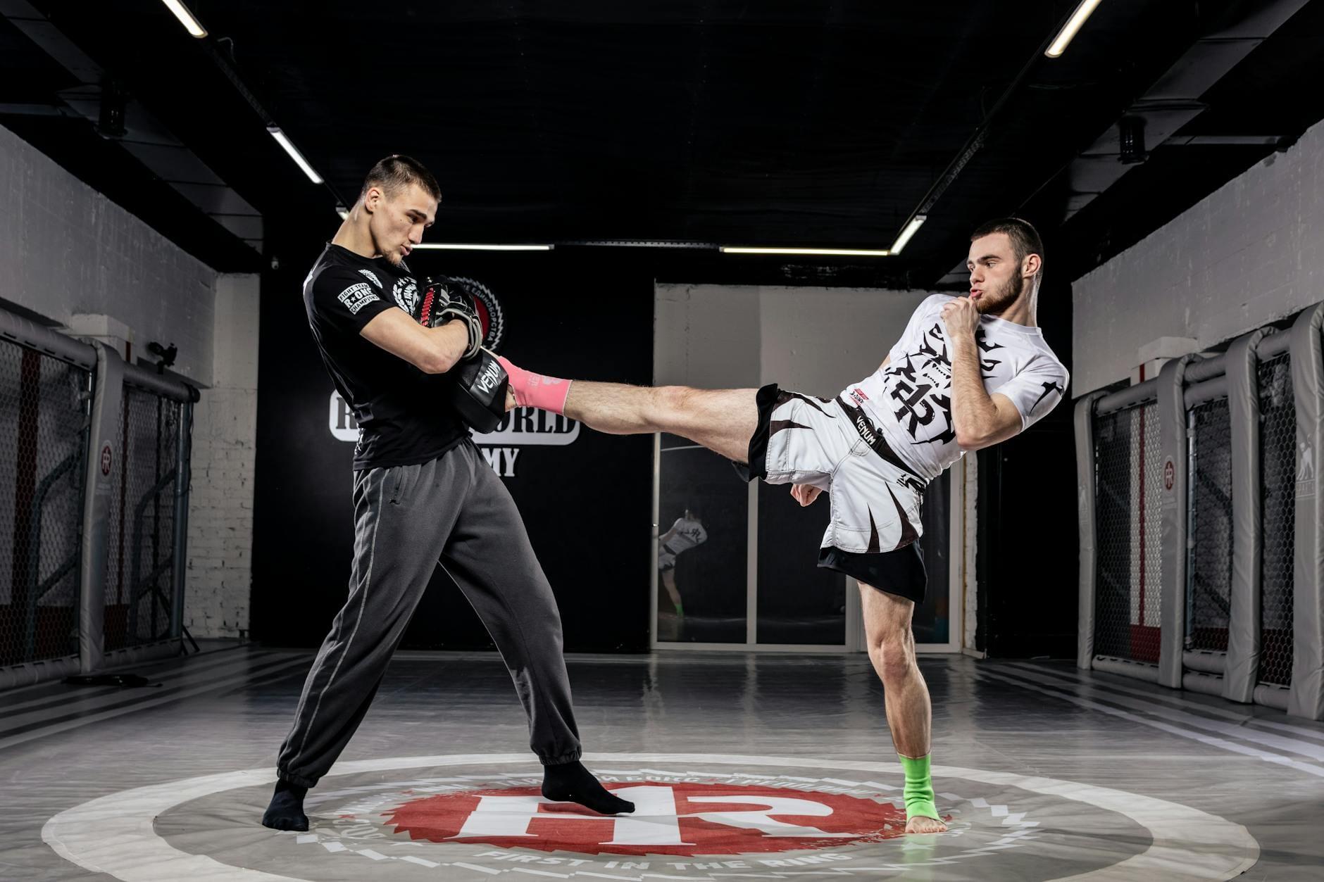 Martial Arts cover